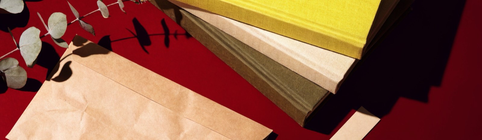 A book and a kraft envelope